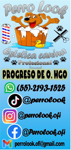 Perro Look Progreso - Visual