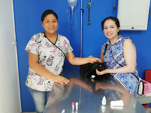 Veterinaria Pet Shop Asuncion 6