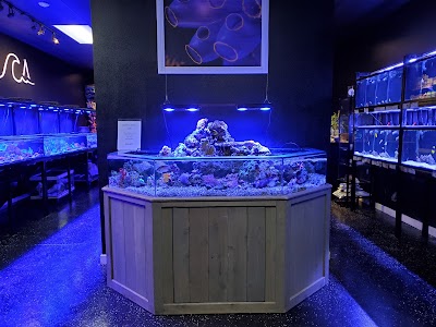 Aquatica Corals and Custom Aquariums