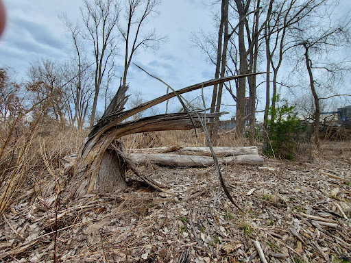 Times Beach Nature Preserve Gallery - United States