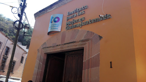 Instituto para las Mujeres Guanajuatenses - Thumbnail