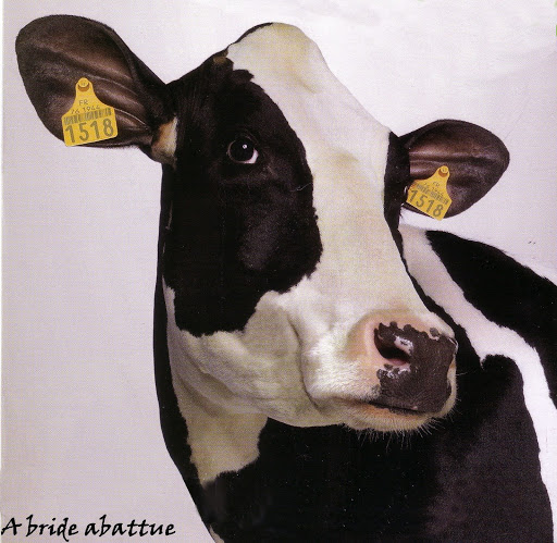 Transit Livestock