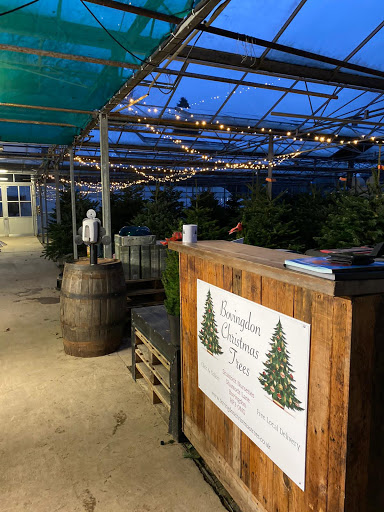 Bovingdon Christmas Trees Logo