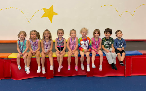 Flippers Gym Program - Visual