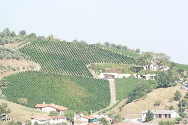 Winegrowers Contrà Soarda