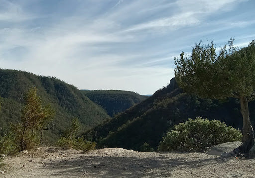 AUGA Caliente Cabanas and Campground - Thumbnail