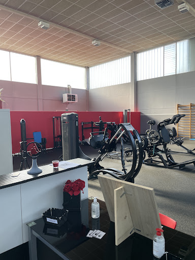 Newenergym - Visual