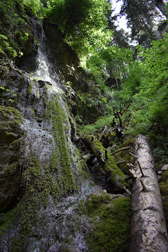 Lotenbach-Wasserfall - Thumbnail