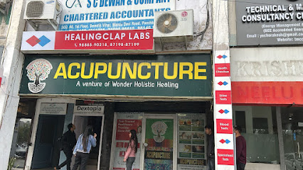HealingClap Labs ( Panchkula )
