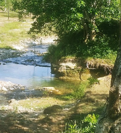 Photos of Finca "Los Amates"