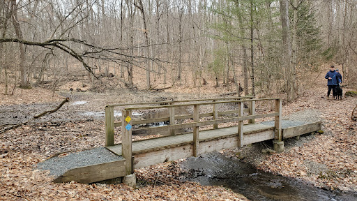 North Woods Nature Preserve - Thumbnail