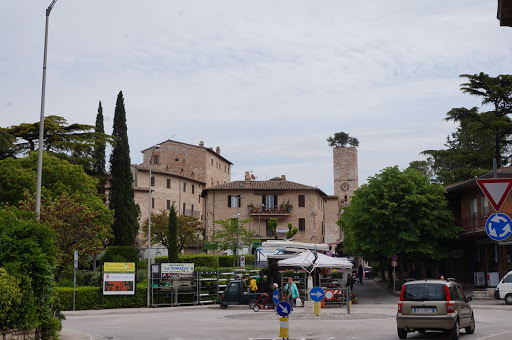 Ciancaleoni Mario