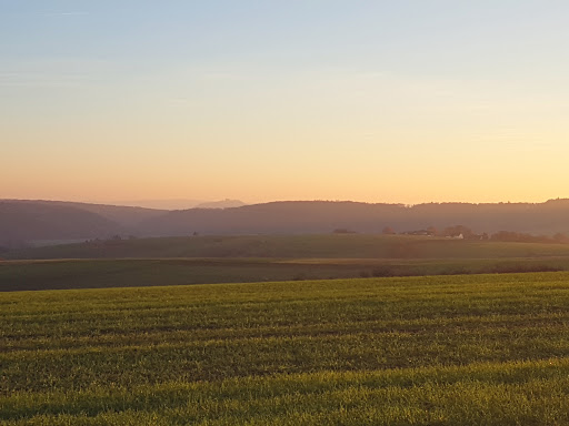 Heilige Eiche - Visual