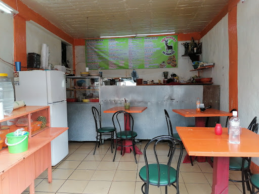 site_photo2