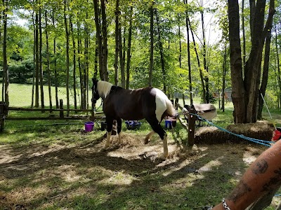 The Great Lakes Medieval Faire