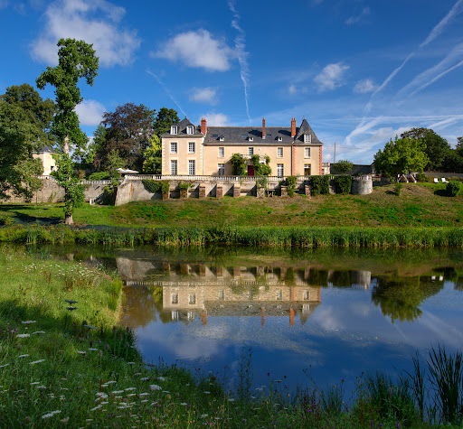 Photo de Château de la Huberdière : Chambres d'hôtes, piscine chauffée, salle de réception et mariage, centre val de Loire à Nazelles-Négron (37530)