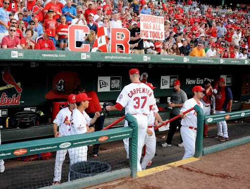 Springfield Cardinals - Thumbnail