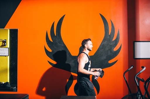 The Phoenix Effect Gallery - United States