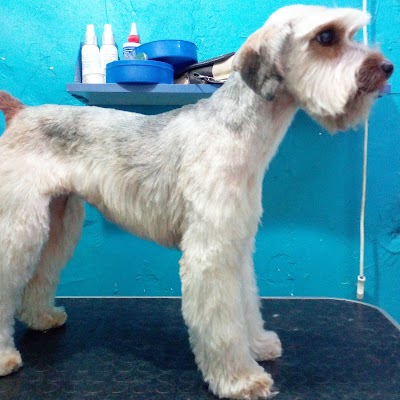 Photos of Integral Veterinary Centre Portugal