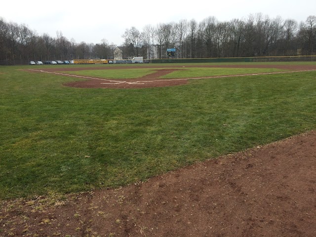 Bonn Capitals Baseball