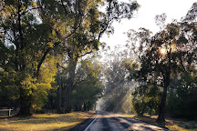 Ludlow Tuart Forest National Park, Busselton, Australia