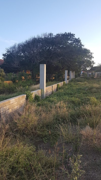 Photos of Marshe Barber