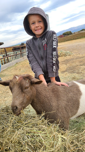 Sunder Creek Farms Logo