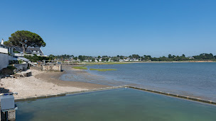 Photo n°49 de Camping de la Baie à Asserac - Loire Atlantique à Assérac (Terrain pour camping-cars)