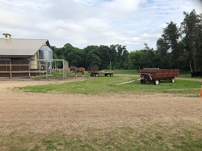 Bunker Park Stables