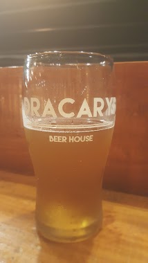 DRACARYS beer House, Author: leandro robin