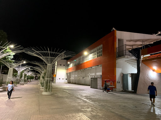 Estadio Marte R. Gómez - Thumbnail