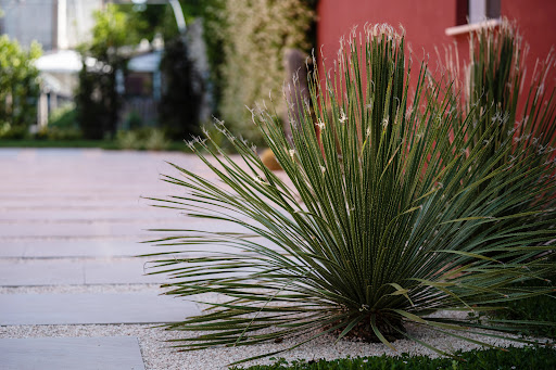E-Gardening - Thumbnail