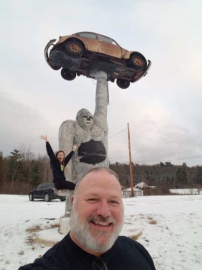 Gorilla Holding a VW Beetle