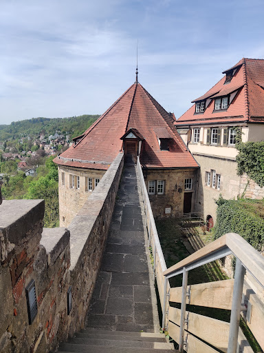 Museum of the University of Tübingen (MUT) - Thumbnail