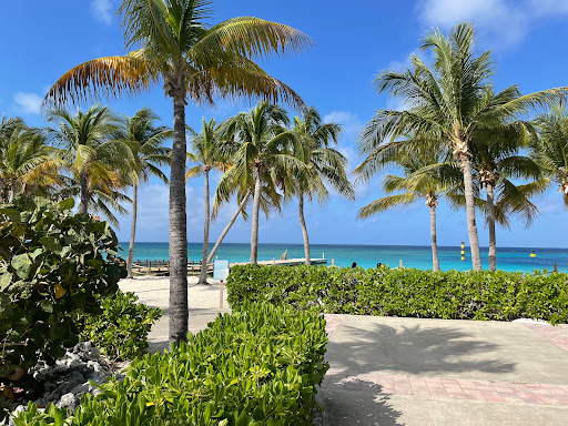 Dream Vacations - Dana Salem-McCarthy. Dsalem-mccarthy@dreamvacations.com - Thumbnail