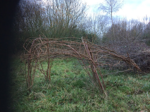 Sid’s Piece woodland walk - Thumbnail