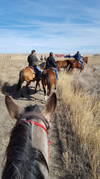 Buffalo Creek Wildlife Management Area