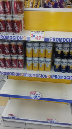Modelo Plus 24 - Visual