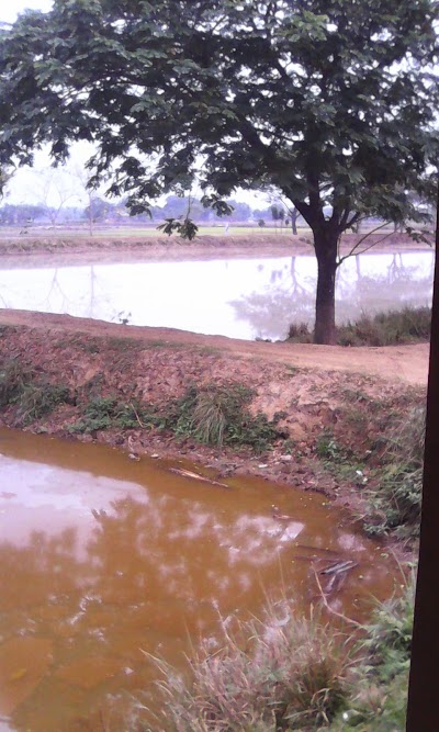 Photos of GOPINAGAR GOV.PRIMARY SCHOOL,HALUAGHAT,MYMENSINGH.