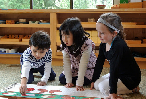 Bellevue Montessori School - Thumbnail