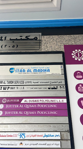 Star Al Madina Pest Control & Cleaning Services - Other
