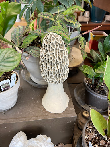 Boehm's Lawn & Garden Center - Thumbnail