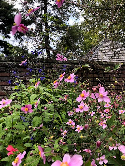 The Garden at Ashland Estate