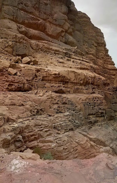 Photos of Ennasr (Victory) Neighborhood