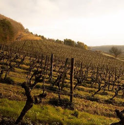 Photo n°45 de jlpgoodwines oenologie à Noirmoutier-en-l'Île (Bar à vin)