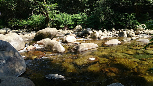 Le Jardin Des Abeilles Ocana Destimap Destinations On Map