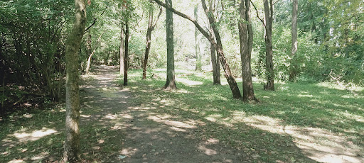 Tipp City Nature Center Gallery - United States