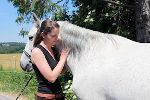 Photo n°9 de Anne GLADEL Ostéopathe animalier OA 981 - Canin Equin Bovin NAC - Déplacements en Lorraine et en Alsace à Saint-Jean-de-Bassel (Ostéopathe)