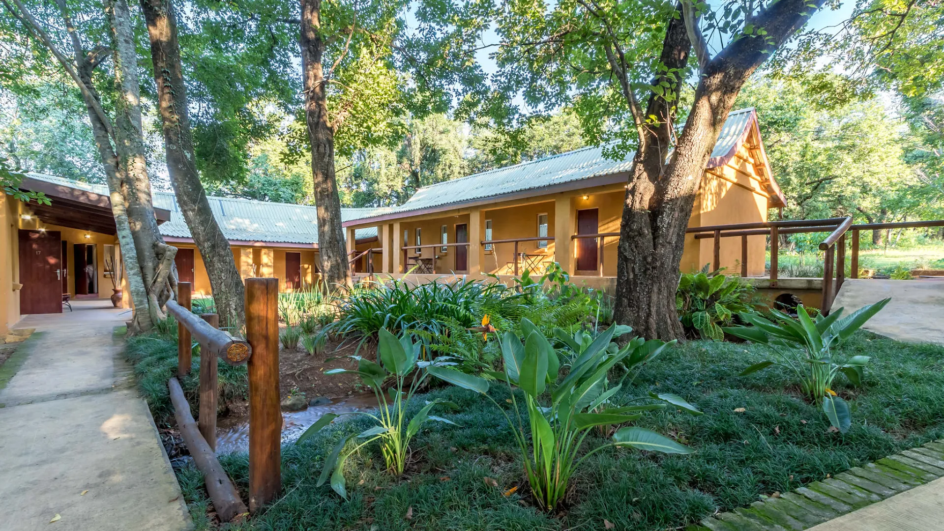 Gecko Lodge