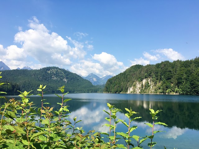 Alpsee